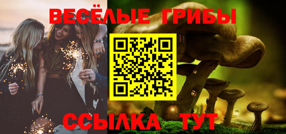 Галлюциногенные грибы GOLDEN TEACHER Сунжа