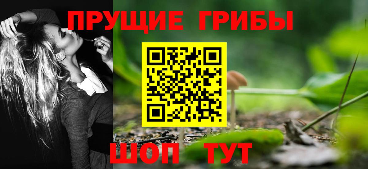 Галлюциногенные грибы мухоморы  Вход с VPN  сколько стоит  Сунжа 